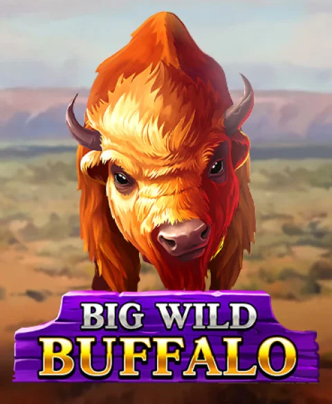 Play Big Wild Buffalo at Mozzart Casino